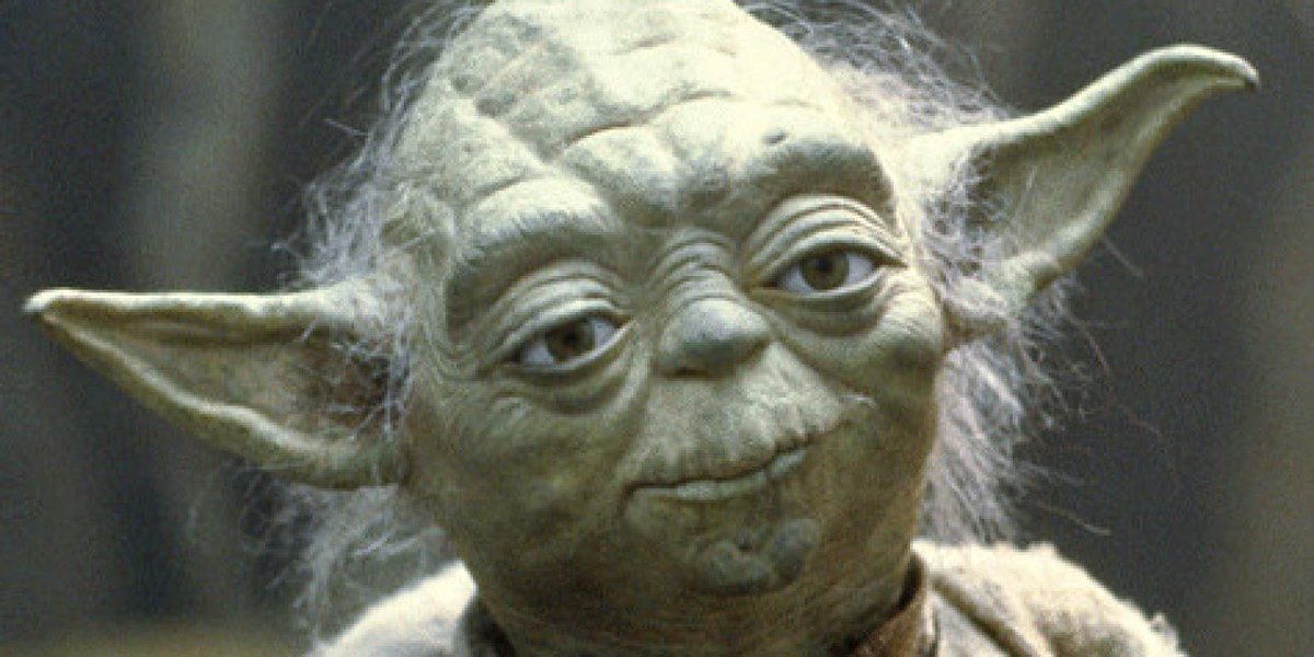 Yoda tweet media