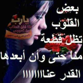 07819692170T5t5's tweet photo. مًأّ أّروٌعٌ أّنِ تٌـحًبً شُـخِـصّـ وٌأّنِتٌـ تٌـعٌلَمً بًمًأّضًـيِّهّـ http://t.co/6pcfxa5x7b