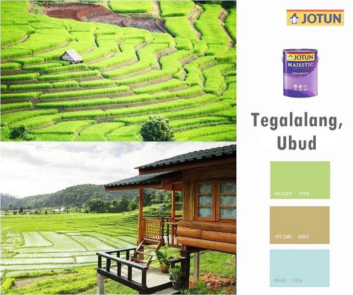 JotunID's tweet photo. Sbtkn 2wisata Ind dgn terasering sawah sprti Tegalalang! #DiscoverIndonesia #TravelColours #17Agustus #JotunIndonesia http://t.co/6VetzBTCWc