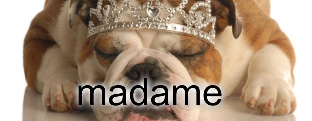 florenceforesti tweet media