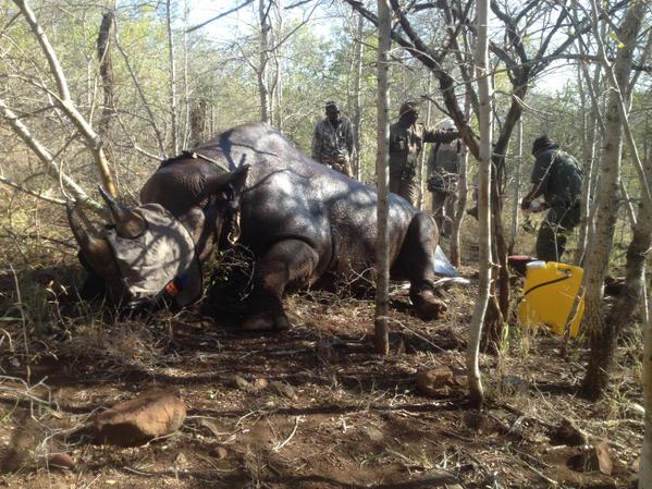 Andrew Johnson tweet media