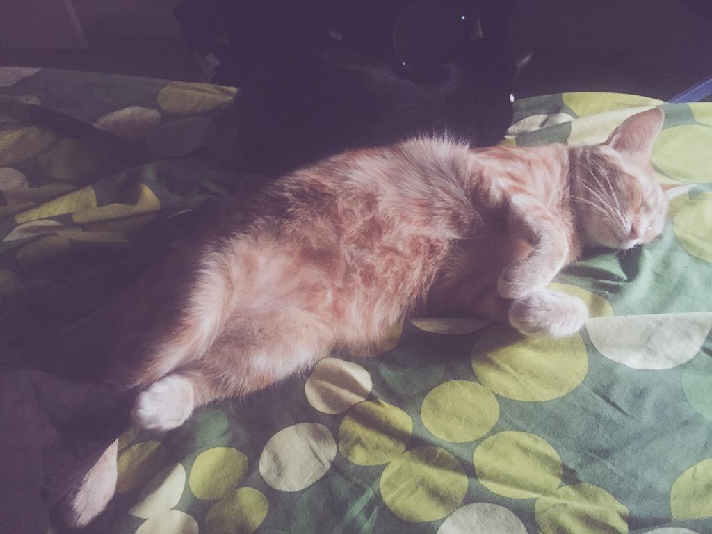 Rubiu5's tweet photo. Menudas bolas están hechos :P http://t.co/qonVE67b1d