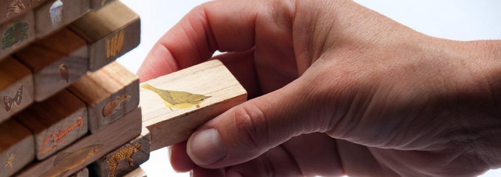 BitcoinMagazine's tweet image. #Bitcoin XT Big Block Fork Spurs Debate and Controversy Over the Weekend by @nickabouzeid btcm.ag/bxt