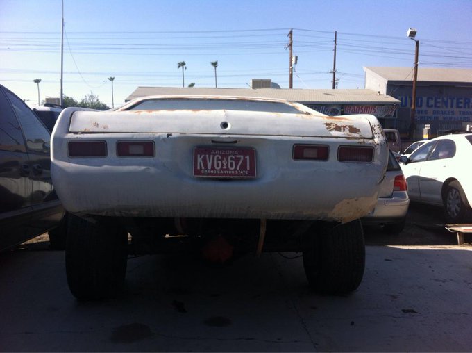 Why bae give me the cold shoulder? http://t.co/6gq1Q9DpQH<a href="/tag/tarantulahawk"class="tags"><span>#tarantulahawk</span></a>