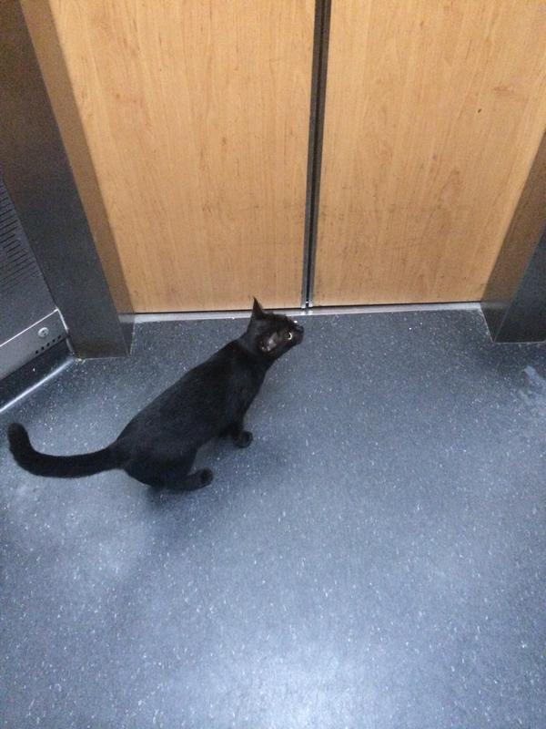 Speak Comedy tweet media