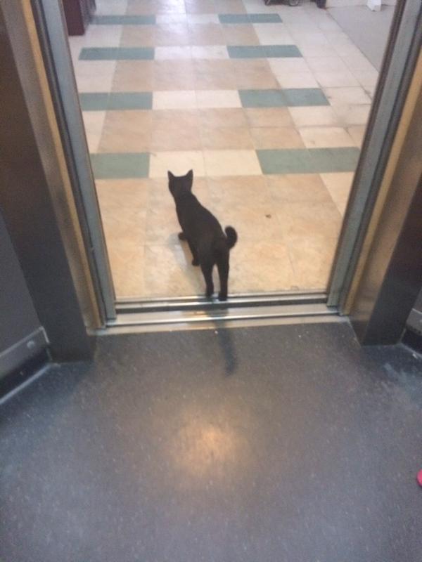 Speak Comedy tweet media