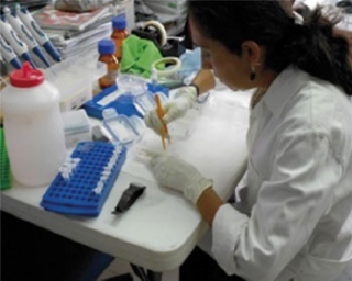 Floryalba's tweet photo. Inapesca desarrolla técnicas para mejorar producción de trucha arcoíris.  http://t.co/o2zWlaxhiw http://t.co/Ss0Vl7wSJz