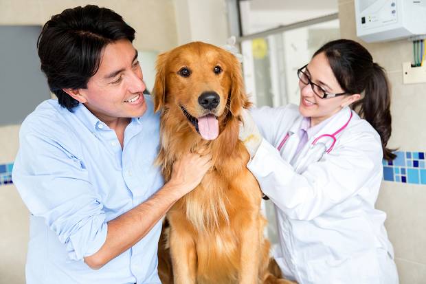 ¡Hoy es el día del Médico Veterinario Zootecnista! Gracias por querer y ...