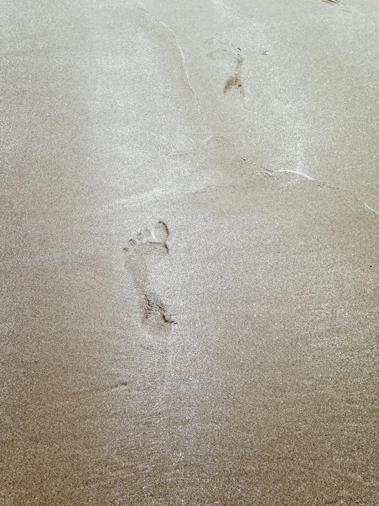 lavinia_cernau's tweet photo. imperfect, sand-glistening footprints to be washed away by relentless waves
#WHPtexture @instagram http://t.co/O2CMu3tc5C