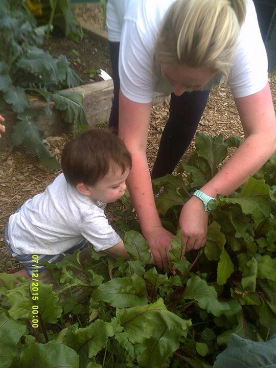 Miniexplorers's tweet photo. Picked and eaten all in the same day. We love our #veg patch #nursery http://t.co/Z0V3zsiFu1