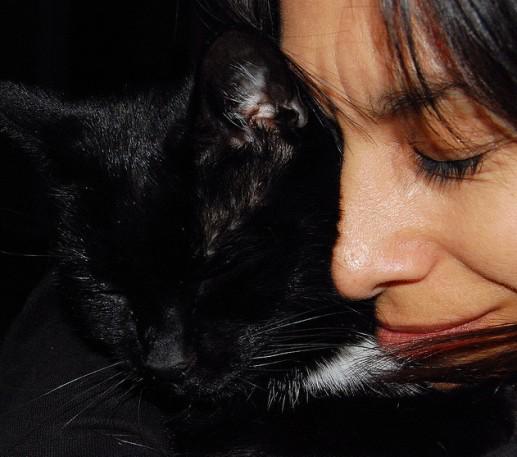 PetsBreeding tweet picture