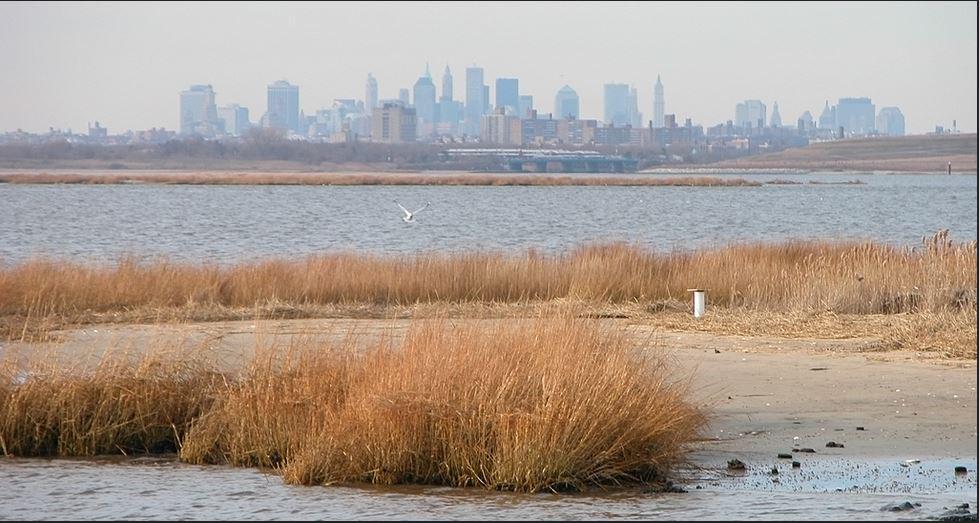 nyseagrant's tweet photo. Job Opportunity: @nyseagrant Coastal Resilience Specialist at @BklynCollege411: http://t.co/ZjPUnZkX9P @cunynewswire http://t.co/pgavE4zcWM