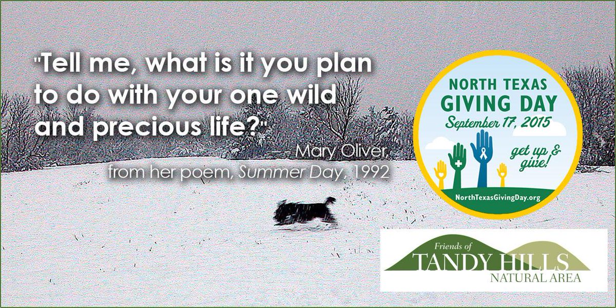 TandyHills's tweet photo. Welcome to Day 1 of our 2015 #NTXGivingDay campaign. Mark your calendar for September 17! http://t.co/QIKKsT8DID http://t.co/5LzMEYUnXp