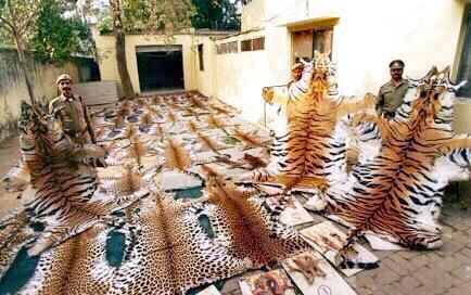 NO quiero esto 💔 LUCHO para EVITARLO
I want a future in which humans live in harmony with nature
RT If YOU are AGREE!