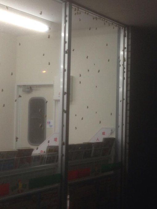 閲覧注意 夏の 田舎のコンビニ あるあるが恐怖だった ﾟaﾟ Matomehub まとめハブ