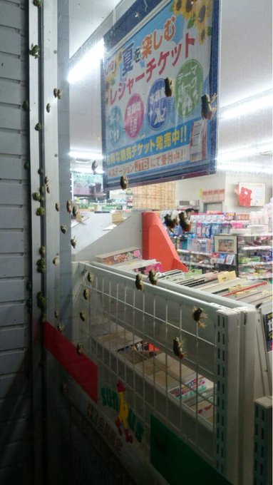 閲覧注意 夏の 田舎のコンビニ あるあるが恐怖だった ﾟaﾟ Matomehub まとめハブ