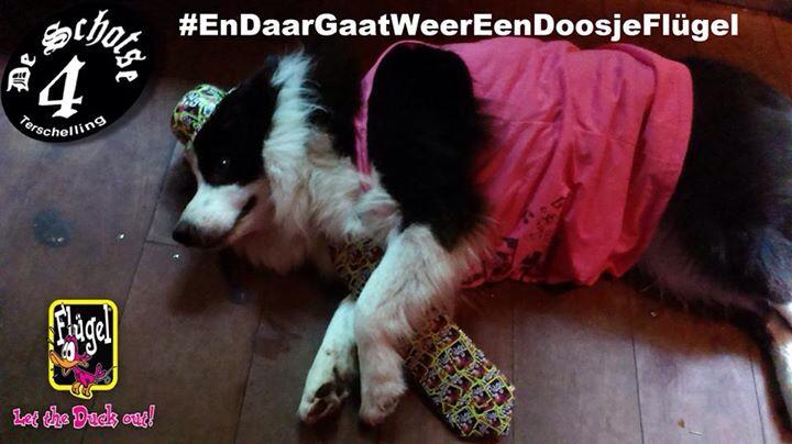 Schotse_4's tweet photo. Het eerste feestbeest is al in de kroeg gezien #EnDaarGaatWeerEenDoosje @flugelnl http://t.co/dGV3oS6PGG