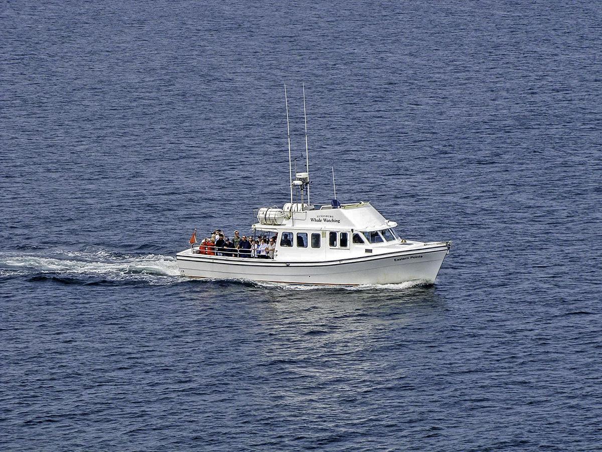 whalebirdtours's tweet photo. Wondering what to do today in Nova Scotia? Join us on a whale watching tour from historic old town #Lunenburg. http://t.co/Z2M9nQrAHX
