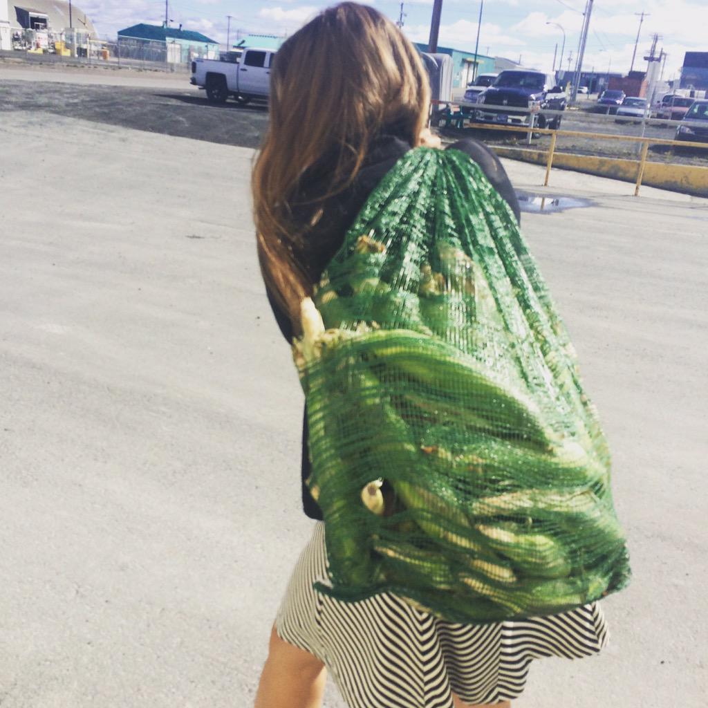 nattkell's tweet photo. When you're mom ships you 40 cobs of 🌽 from @abbyhillfarms #goodday #northernliving #yellowknife #feelslikehome http://t.co/cogQCjaIFR