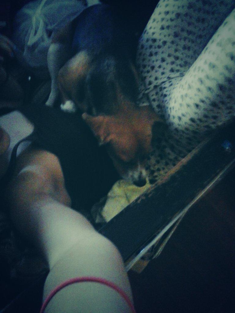 YRADLE_'s tweet photo. La cuestion es de sueño ♥♡♥♡♥♡♥♡ http://t.co/2Cv05zW6vb