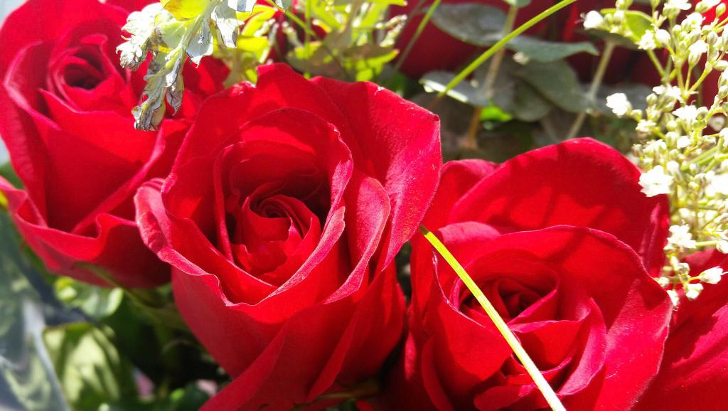 KneesocksDaddy's tweet photo. My #Gorgeous @KatHunterAuthor earned her flowers at the B&amp;B this weekend! xxx http://t.co/3FTDh8bOlL