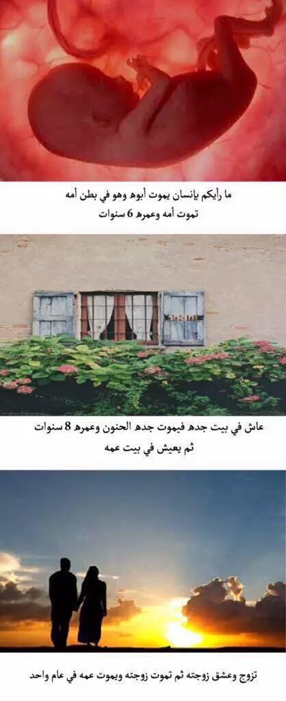 Uberarabic's tweet photo. هذا هو رسولكم ، صلوا عليه وسلموا تسليماً http://t.co/qf9eXKHx2W