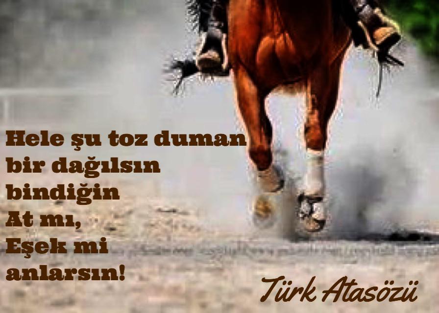 Ayollarning XXX fotosuratlari