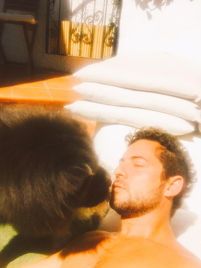 davidbisbal's tweet image. Cuanto cariño por Dios!!!