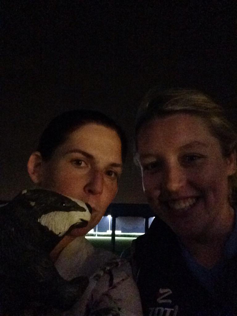 lil_gem81's tweet photo. @broxbourne_hc love you badger!!!#winners!!! http://t.co/EGFGn52fsn