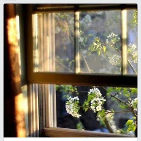 zor ama yaşanıyor ...