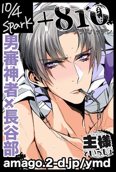 冬コミスパーク11月閃華カット全部これです スパークは本当に出れたらいいなレベルなんだけどペパーラリーも参加したい 