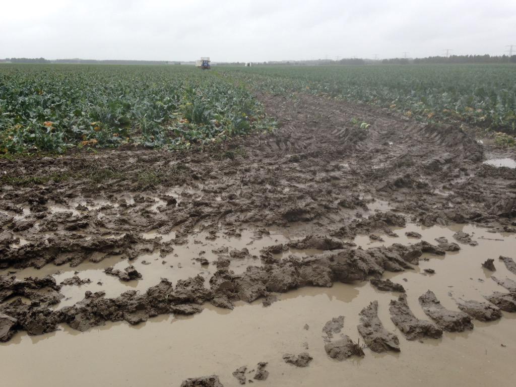 Johns_Farm's tweet photo. Ok...inmiddels iets minder #blije boer @Johns_Farm #modder aan je laarzen en natte sokken http://t.co/Gfh2h7ivH7