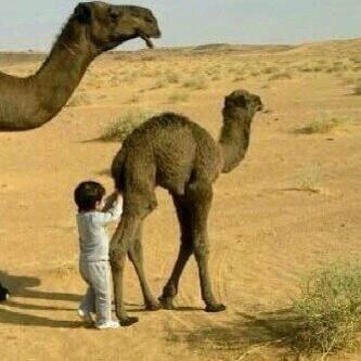 ام الحوير ماتخلي ولدها 
وامك عشان تصورك كيف خلتك 
ياويلك الياحطتك تحت يدها
والله ماتنفعها مع الوقت صورتك 
<a href="/mmmareg/">مارق بن حماس</a>