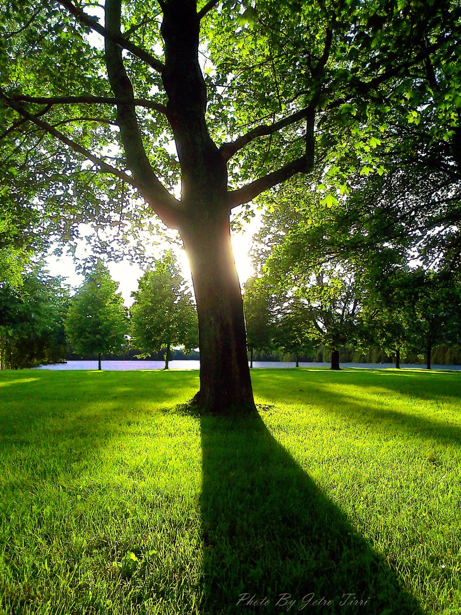 Standing Towards The Sun

#landscapephotography #naturephotography #nature #Jetro #Tirri #photography