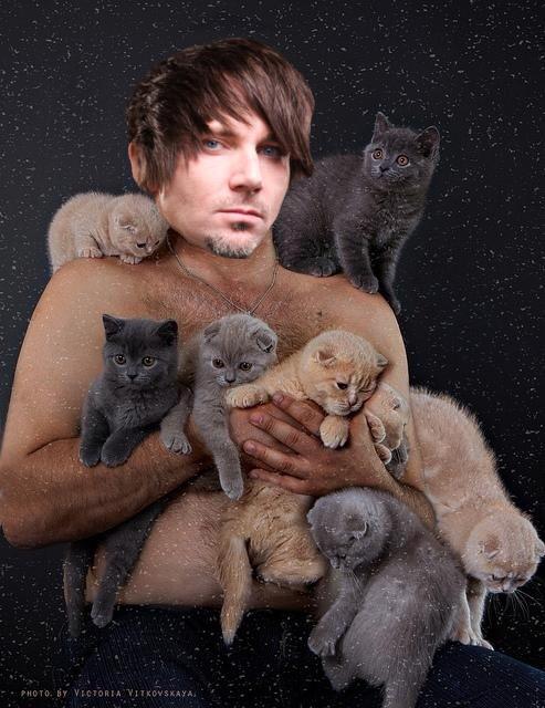BMScasts's tweet image. Had some friends over with @BMS_Billy such a great time!! #meow #Billlllay