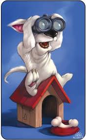 klarita56's tweet photo. @AraBogart @capPu1550 @mellamogabi136 @alitamontevideo 
#PerroEspia .....  👀👀 http://t.co/0HHKJhdFWZ