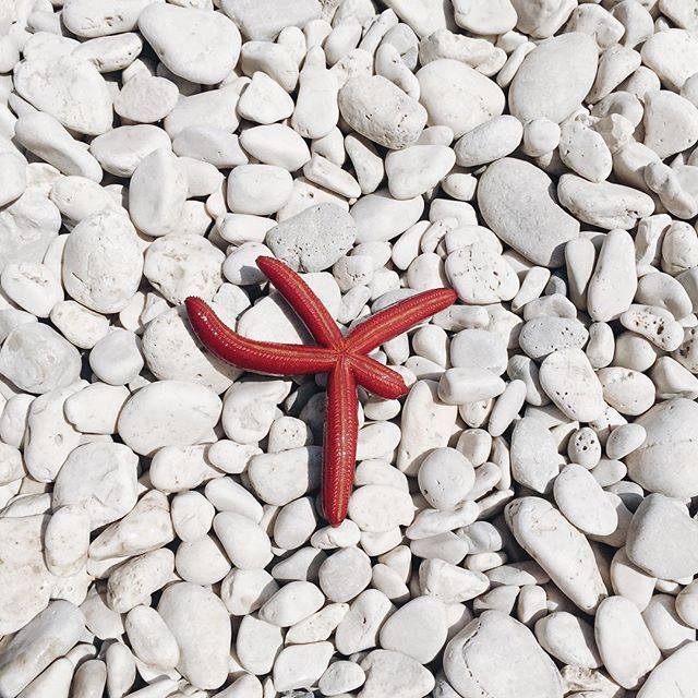 cocorrina's tweet photo. Summer textures #WHPtexture http://t.co/9Fg7FNtLeF