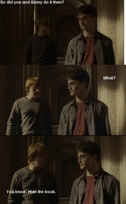 Ron: “So did you and Ginny do it, then?”

Harry: “What?”

Ron: “You know. Hide the book?”