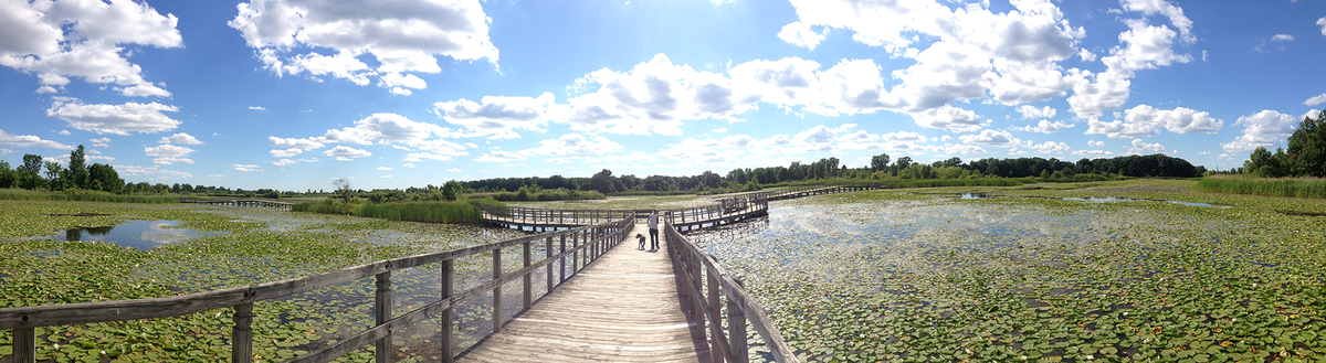 abauer2314's tweet photo. Wet lands http://t.co/t4v5PGUUeK
