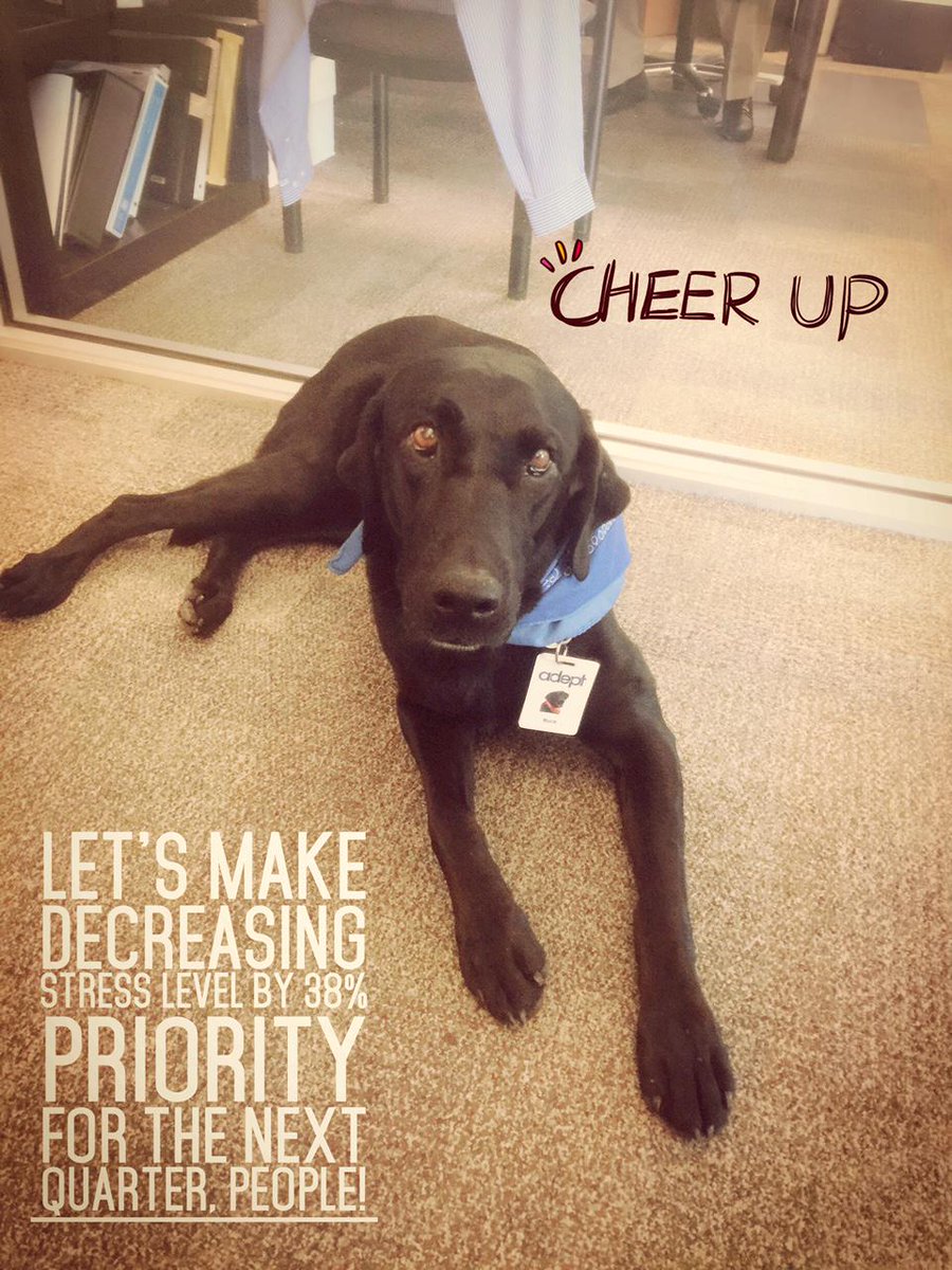 AdeptTechnology's tweet image. #AdeptTechnology Chief Stress Retrieve Officer talks about the goal for the next quarter on Monday August 17th, 2015