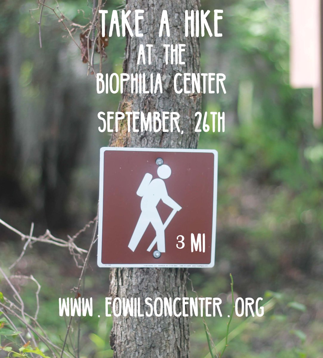 Biophiliacenter's tweet photo. Take a Hike with us on Biophilia/Nokuse Plantation Land on Saturday, Sept 26th. http://t.co/iDsKIRQIG5 http://t.co/NviCvjaMAL