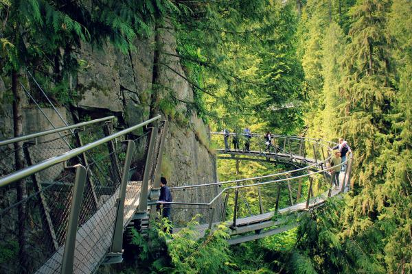 Breathedreamgo's tweet photo. Experiencing Canada's sacred forest at Capilano, Vancouver  http://t.co/aKGoAgIXnC #BDGBest #ExploreCanada #NGTRadar http://t.co/nMyBIJejn7