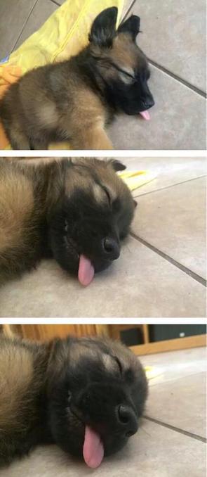 AiWithBDN's tweet photo. Current mood http://t.co/XUNF4qYb7A
