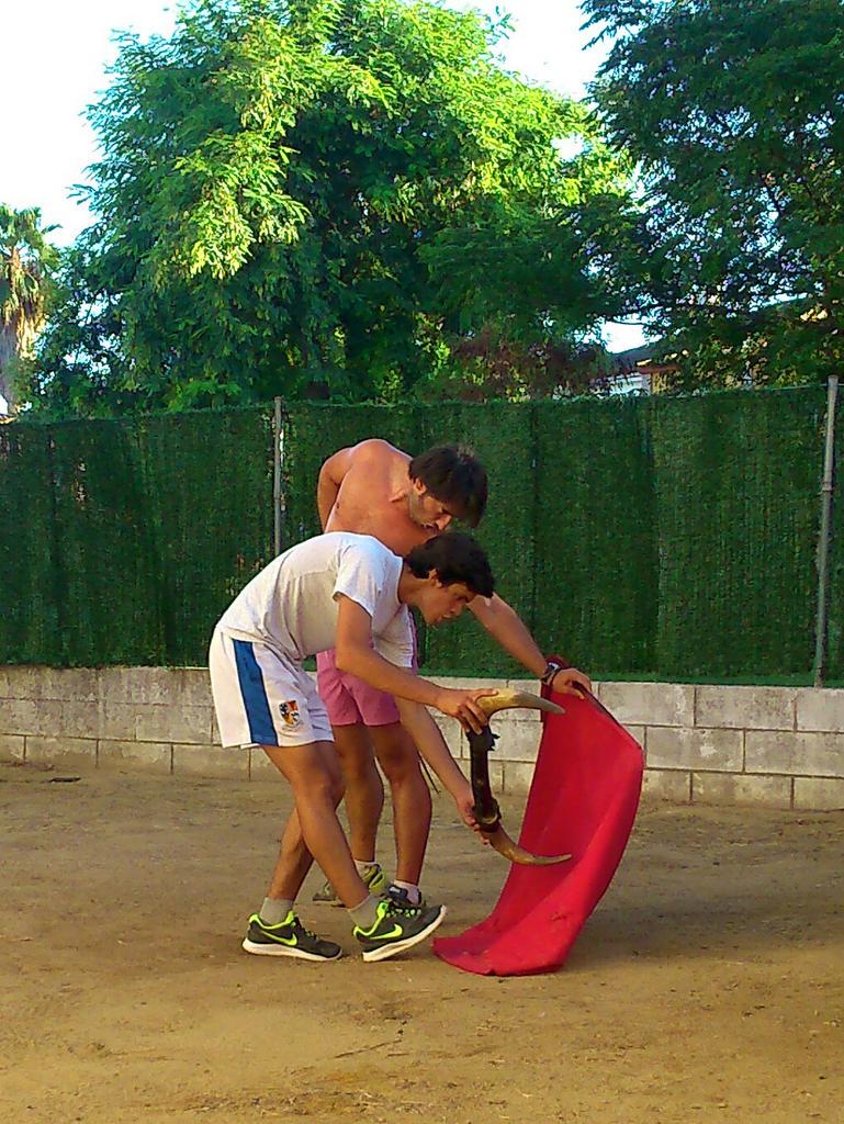 MEscacenaPineda's tweet photo. Viendo torear de salón a @AFdezPineda en su casa de Gelves se acuerda uno de Joselito El Gallo... http://t.co/TJzYxIlnTx