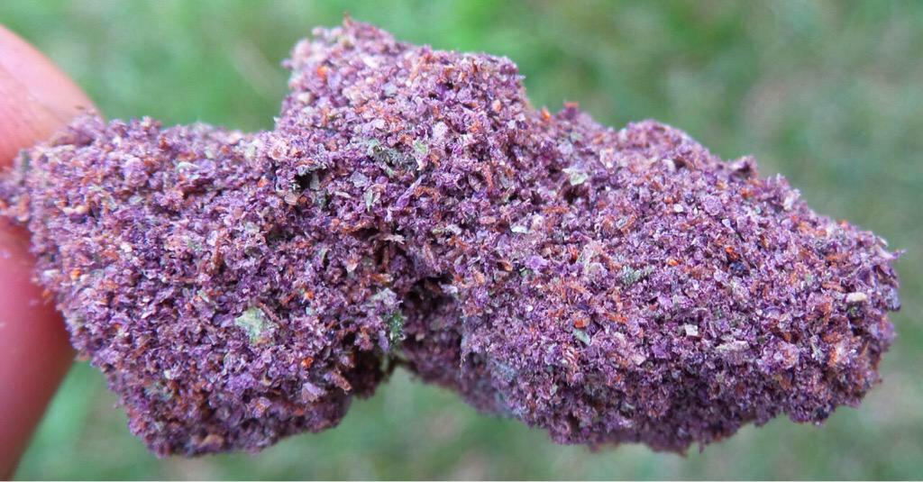 Smoke_Weed87's tweet photo. Purple 😍 http://t.co/oPdiOJB9aM
