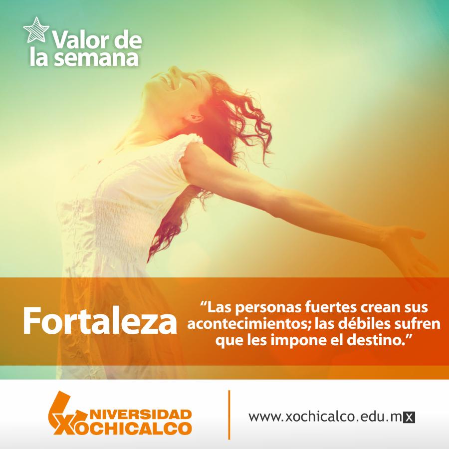XochicalcoEnsenada tweet media