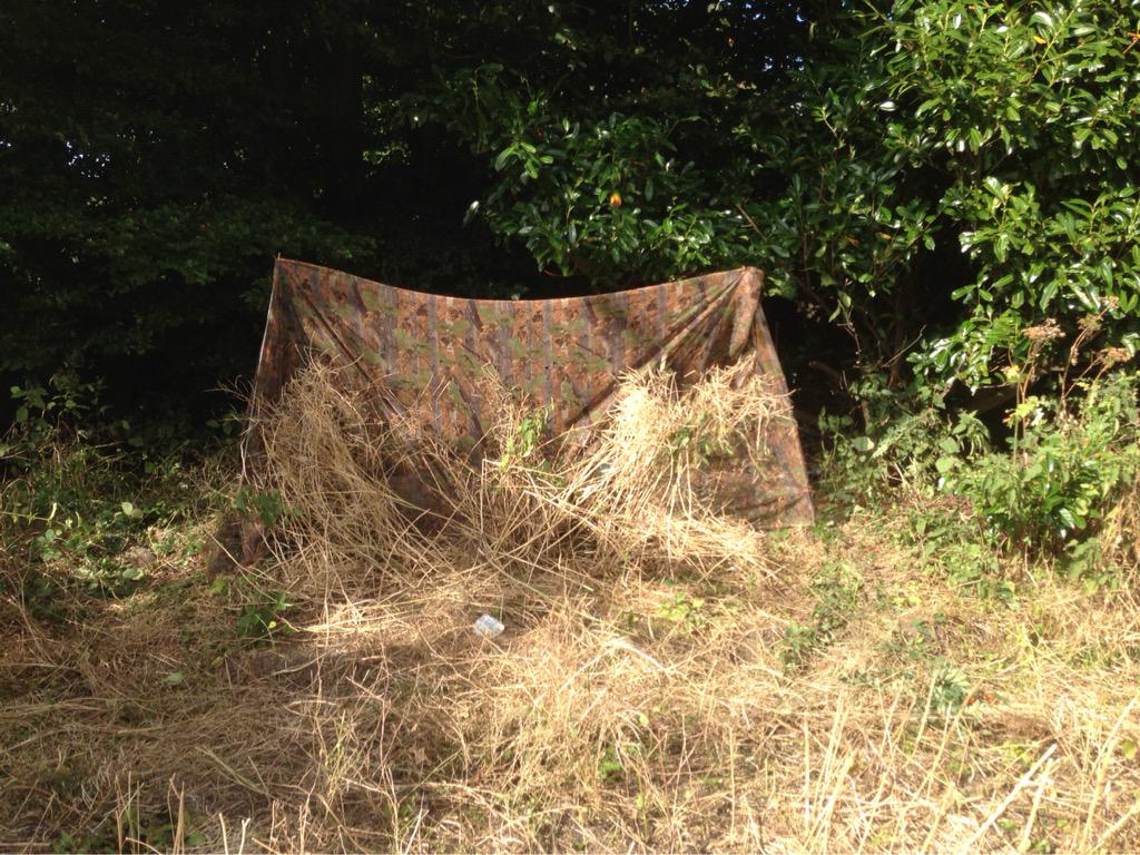 NEShooting's tweet photo. #HuntingHour Pigeon &amp; Pest shoot Friday AM £50. Guns, Cartridges &amp; all equipment included. First come first served http://t.co/C25tmyfTj1