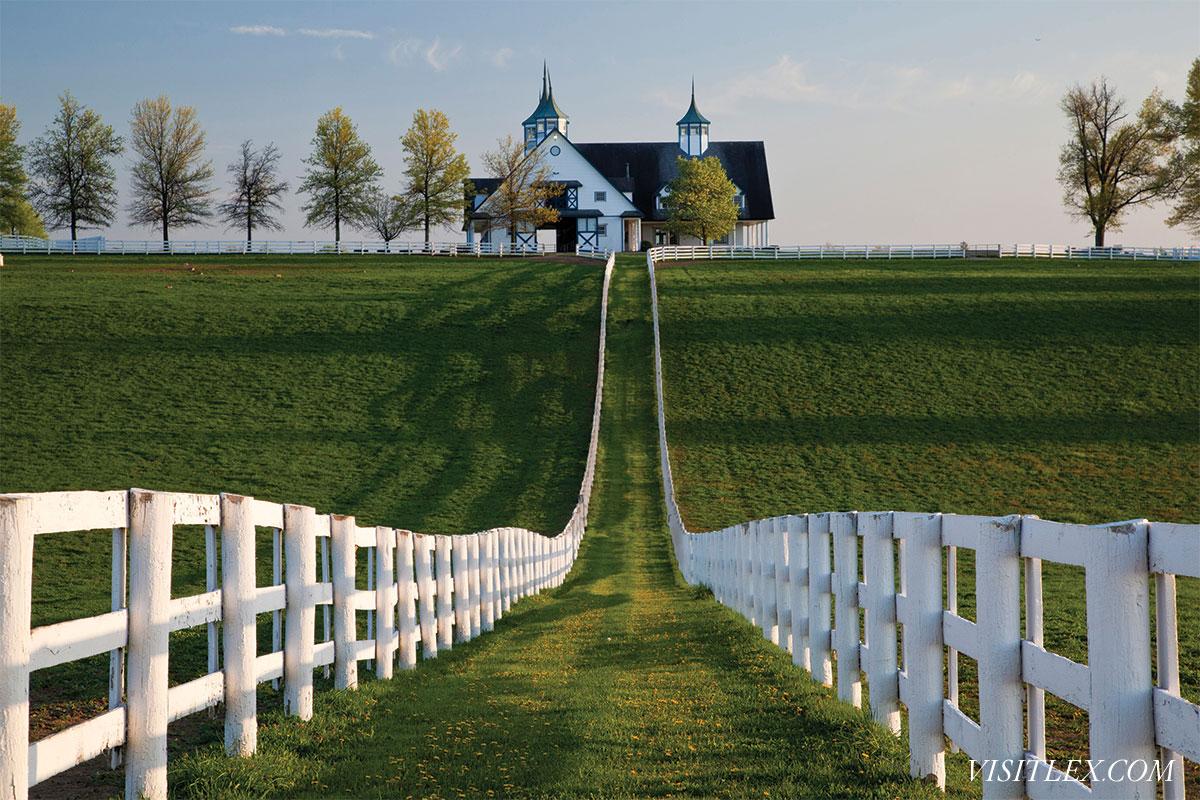 VisitLEX's tweet photo. Now this is what the south is all about. #ShareTheLex #ManchesterFarm http://t.co/xegBlQnfB7