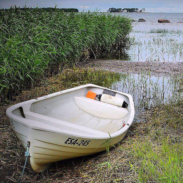 NatlParksPhotos's tweet photo. Seen in #Altja #fishing #village in #Lahemaa National Park, #Estonia
Photo: Martin Klimenta
#BalticsTravelwithMIR #… http://t.co/uu1NG8nBKi