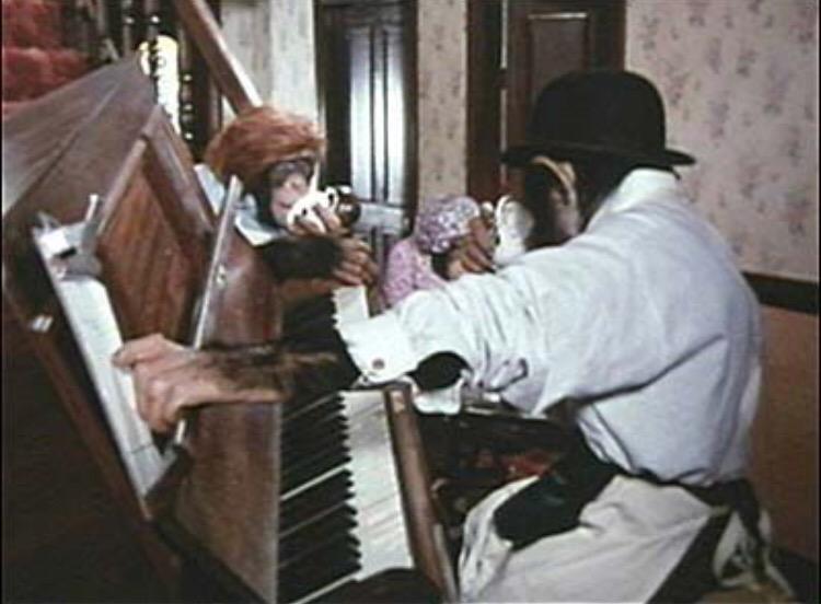 scott_ranson's tweet photo. On #holiday in Spain and I think these characters are in the room next door. Oo-er Mr shifter #pgtipsmonkeys http://t.co/iGWP2JzruS